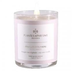 Bougie parfumée - Feuilles d'Oliviers 180g